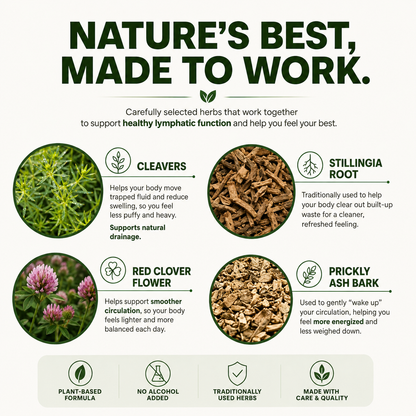 Lymphatic Drainage Wellness Drops